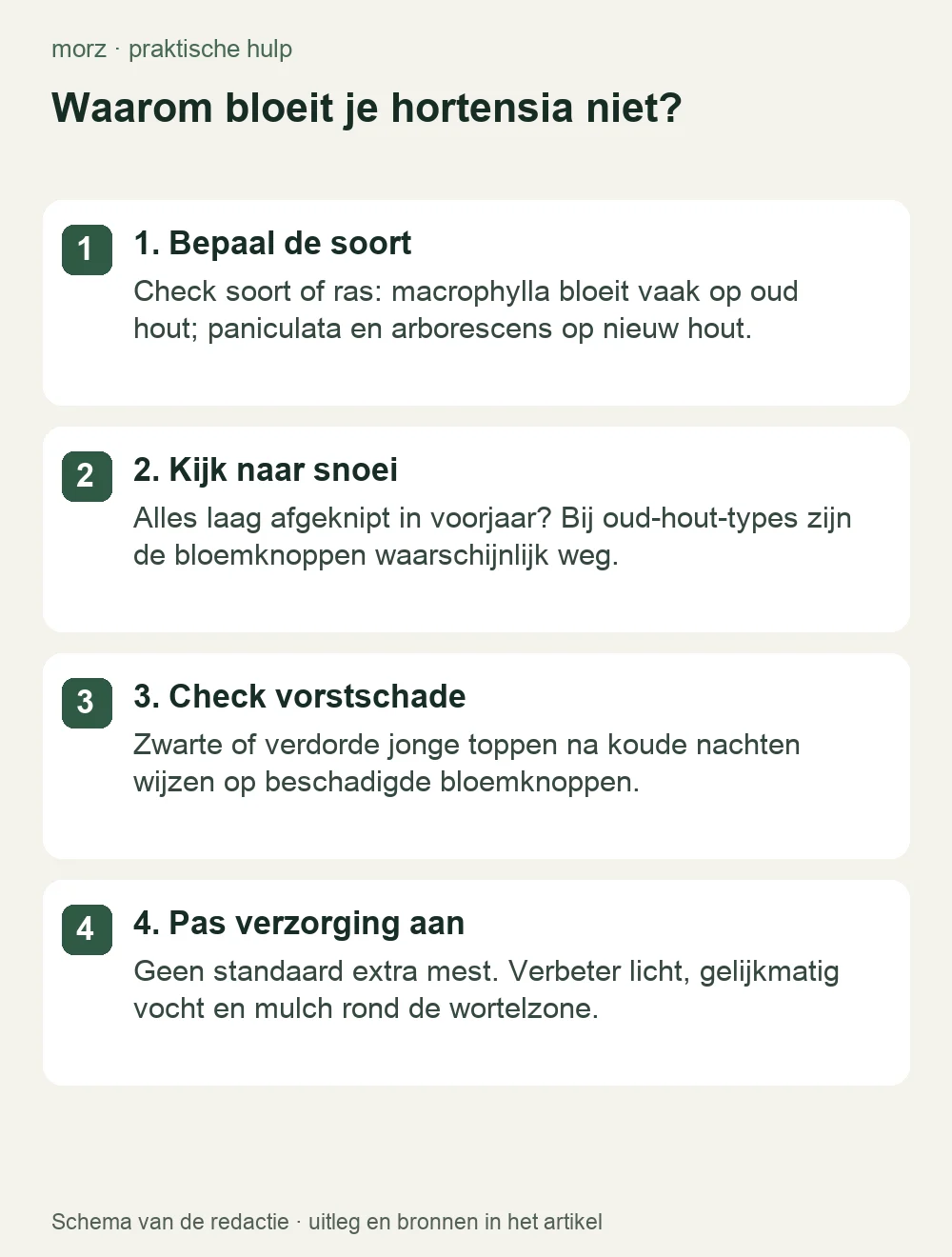 Waarom bloeit je hortensia niet?