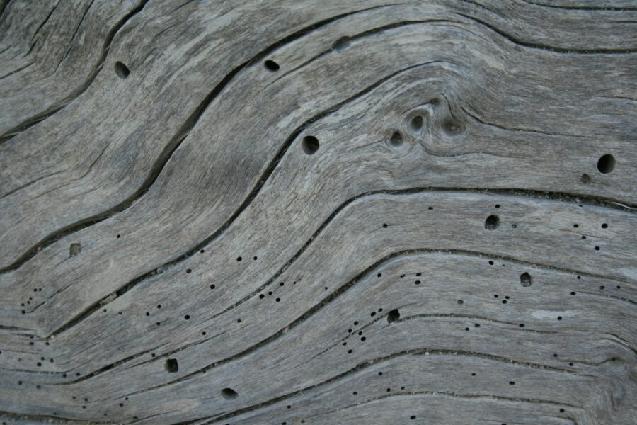 Oud houten meubel met kleine ronde gaatjes van houtworm