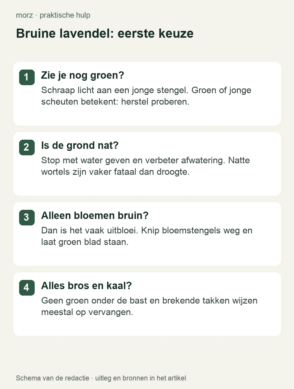 Bruine lavendel: eerste keuze