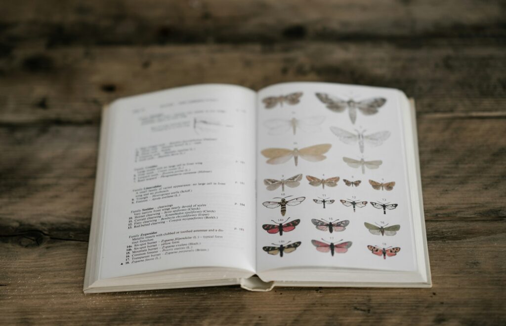 Grijs papiervisje met lange staartdraden op een oud boek