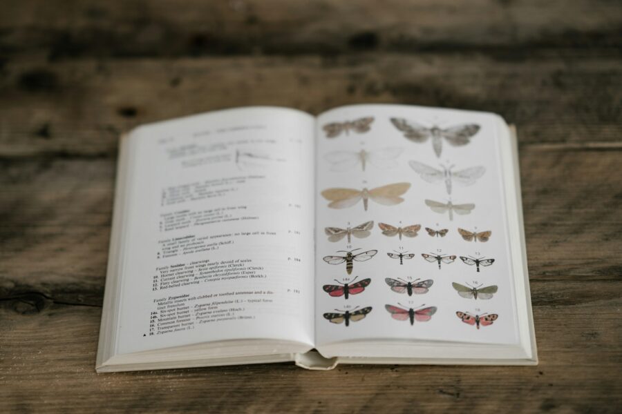 Grijs papiervisje met lange staartdraden op een oud boek