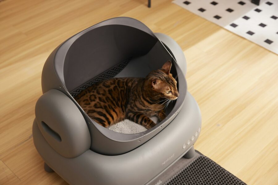 Zelfreinigende kattenbak met ronde opening in een woonkamer