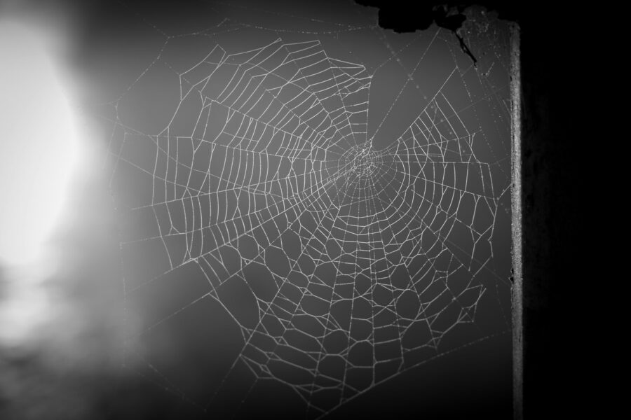 Spinnenweb in de hoek van een raamkozijn met daglicht erachter