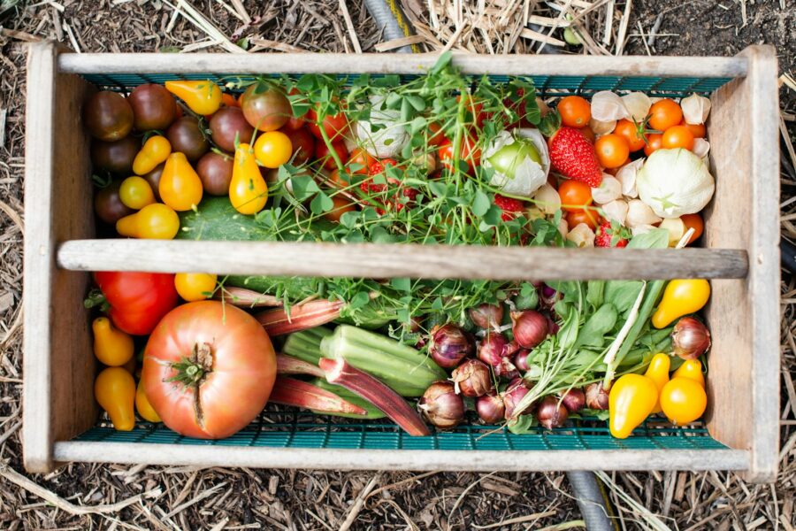 Geoogste pompoenen en bieten in een houten kist naast een moestuinbed in de herfst