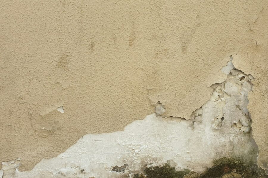 Vochtplek en schimmel onderaan een muur in huis