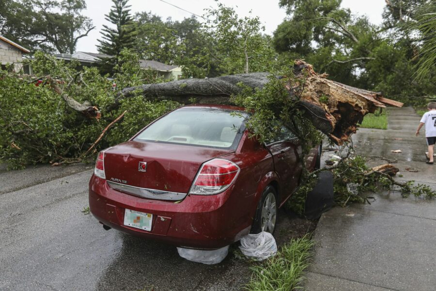 Omgewaaide boom en takken op een stoep na een storm